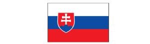 Slowakei mit Hauptstadt und Flagge